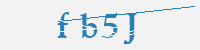보안문자
